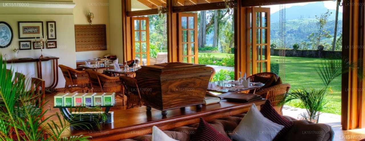 Ceylon Tea Trails