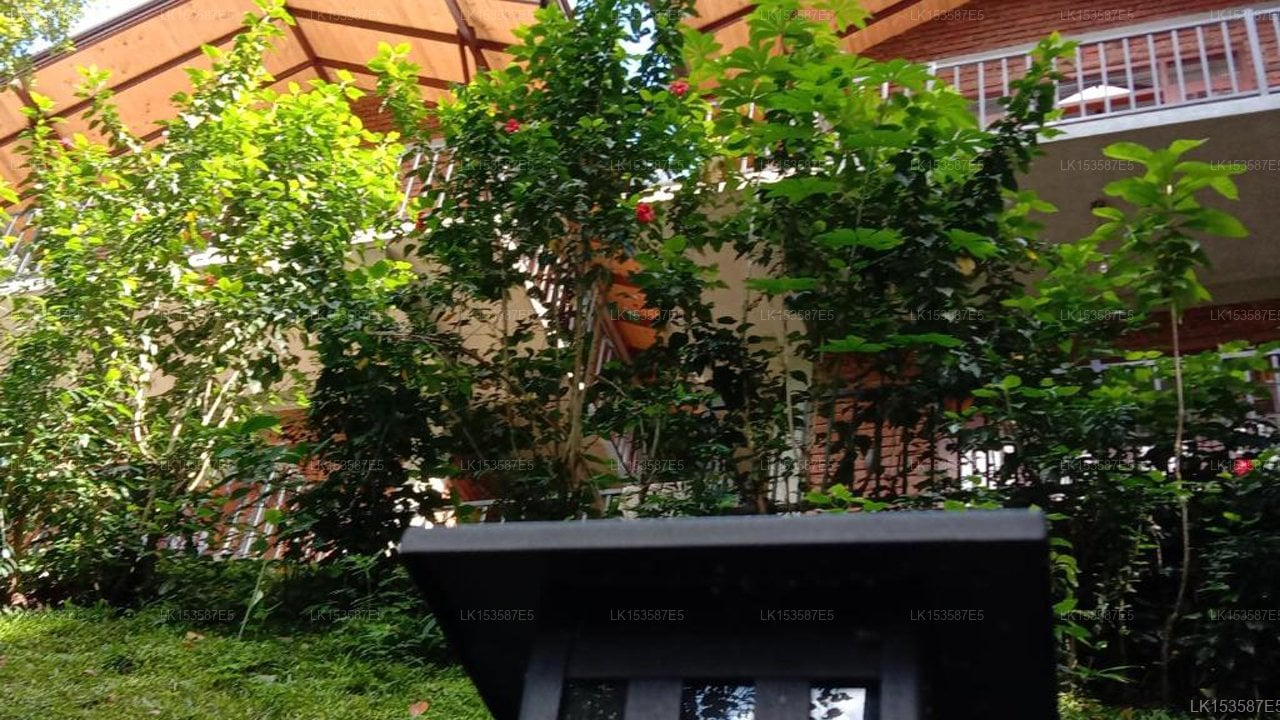 3Arch Eco Cottage Ella