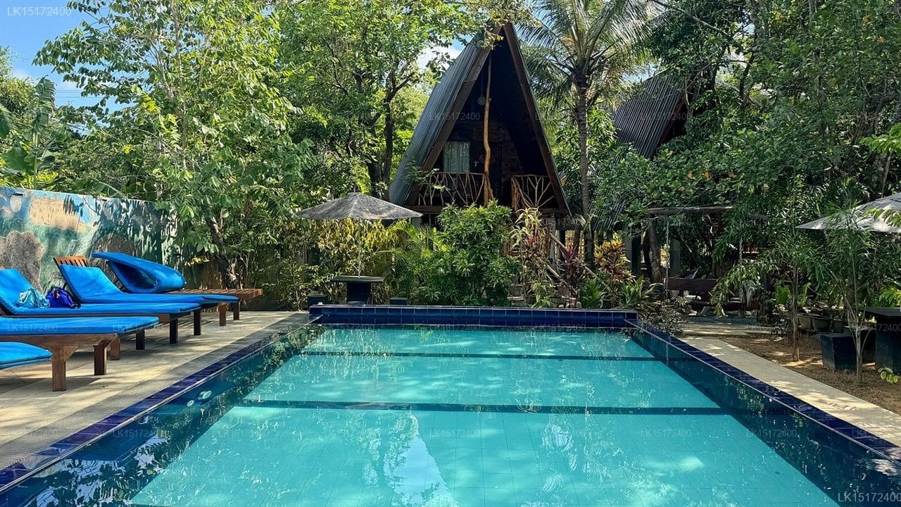 Tropical Leisure Voyages