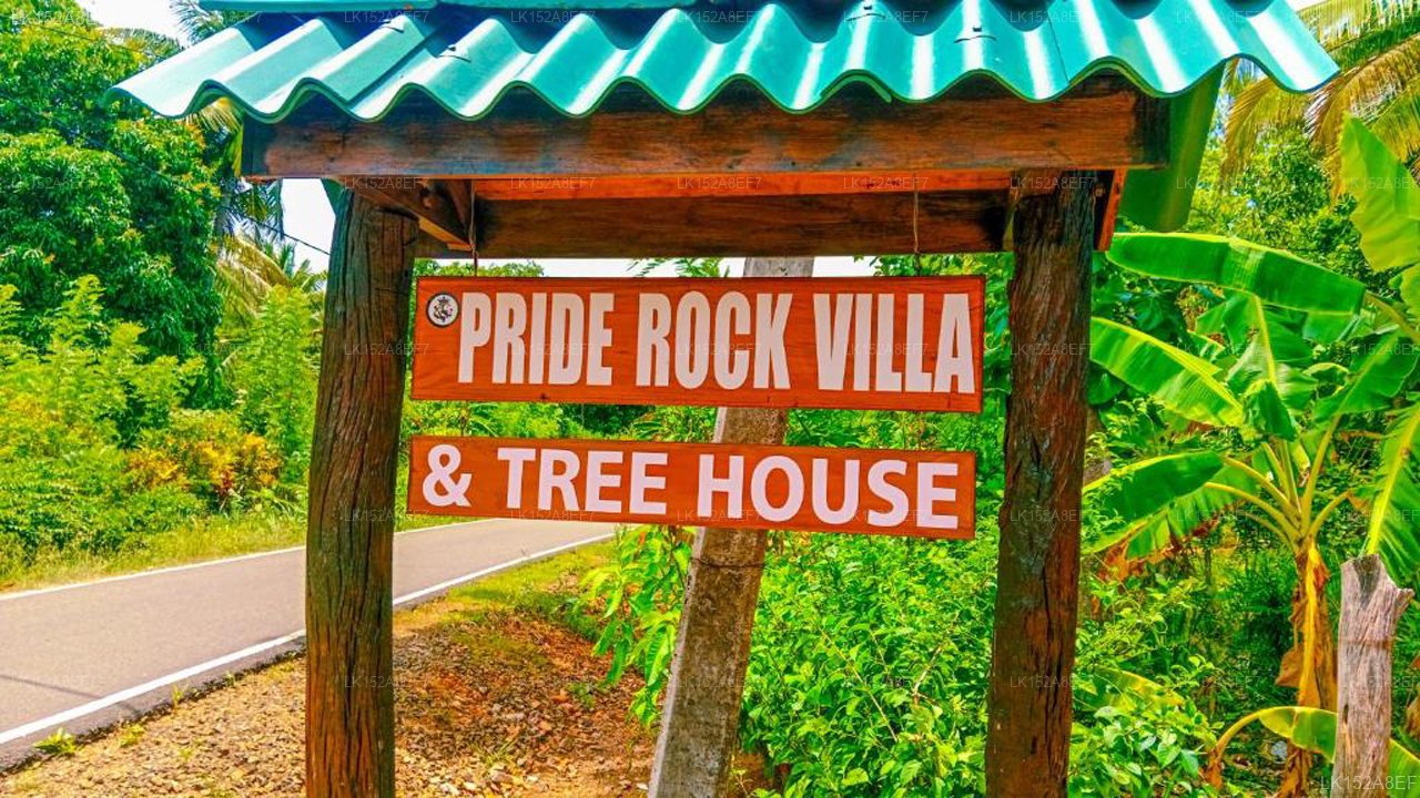 Pride Rock Villa & Tree House