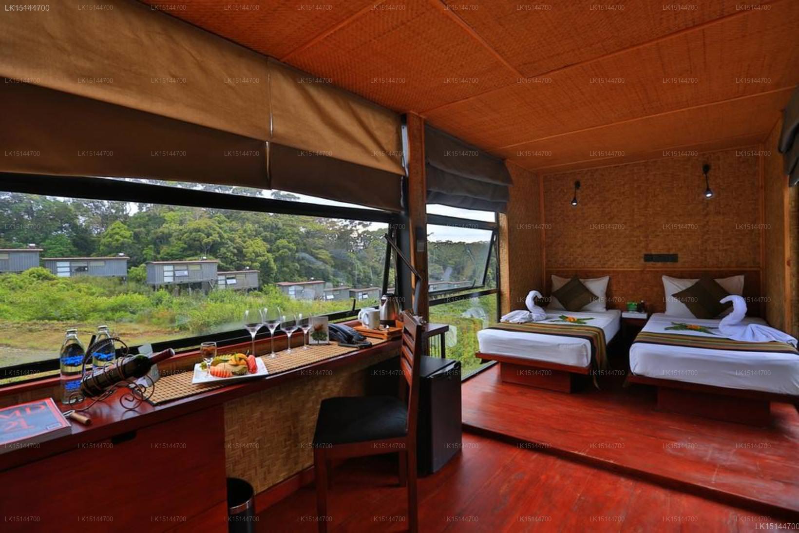 Rainforest Ecolodge