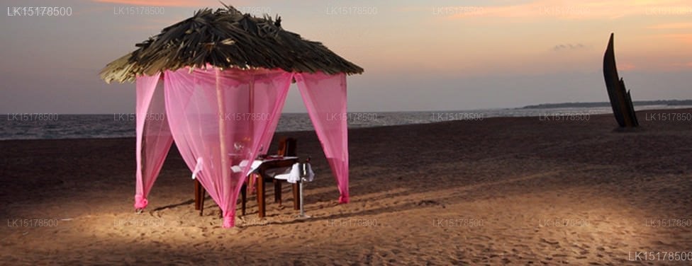 Laya Safari Resorts & Spa
