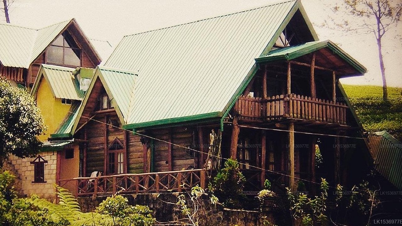 The log Nuwaraeliya