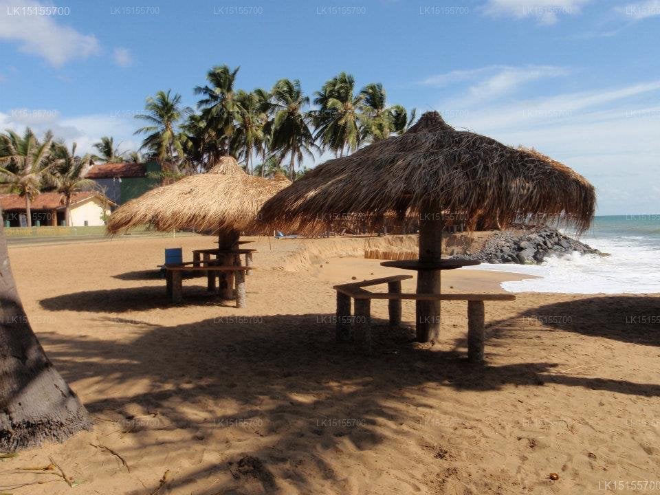 The Cosy Beach