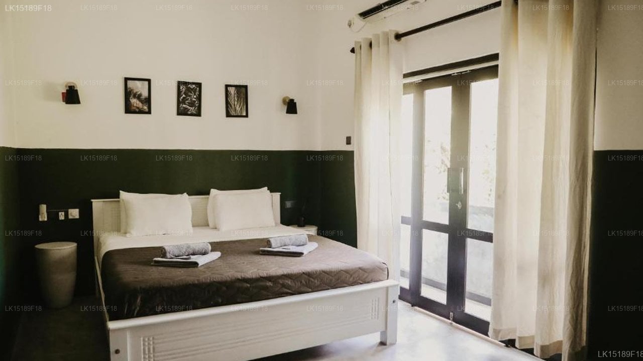 JUNGLE SOUL.