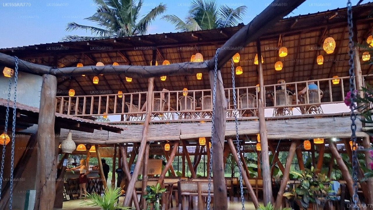 Roy's Villa Hostel