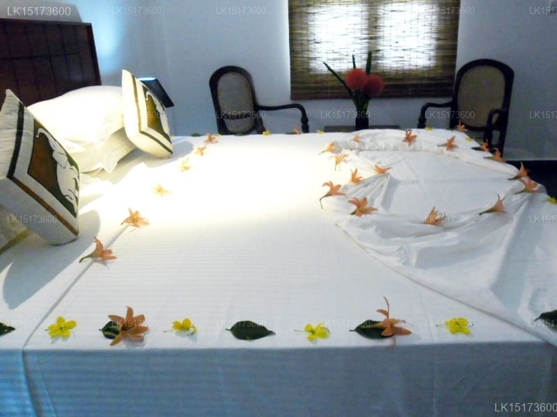 Camellia Resort & Spa