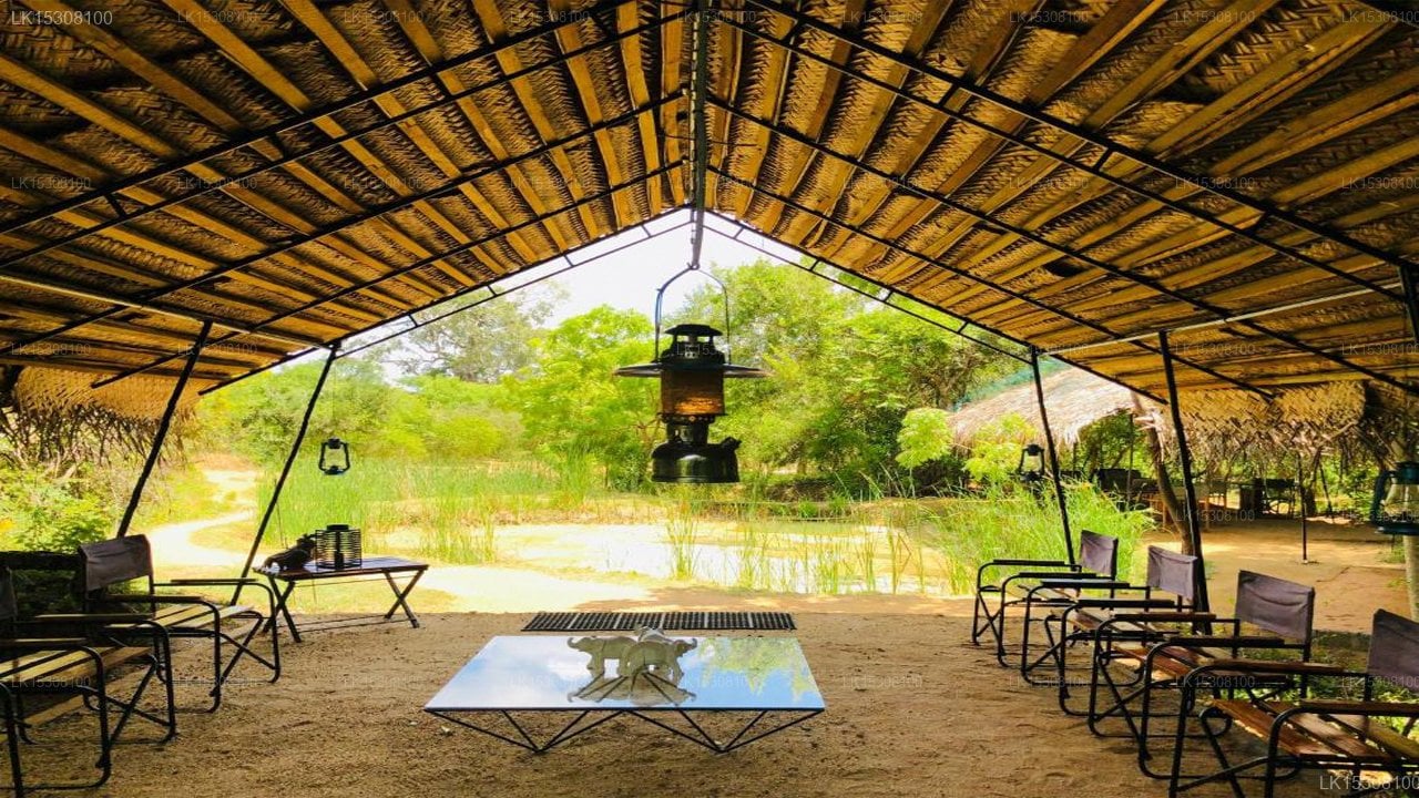 Eco Team Safari Camps Yala