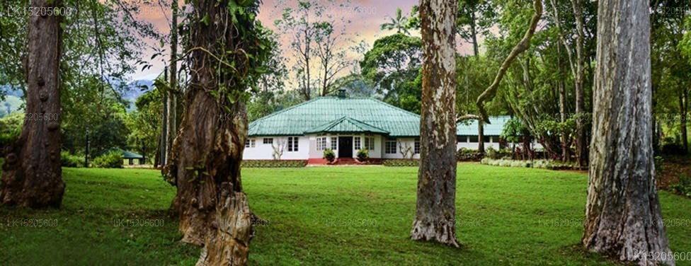 Galaha Tea Bungalow