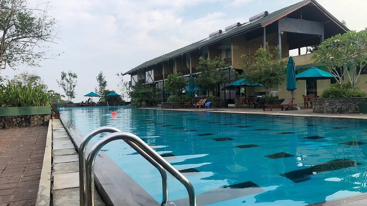 The Nature Lover's Inn