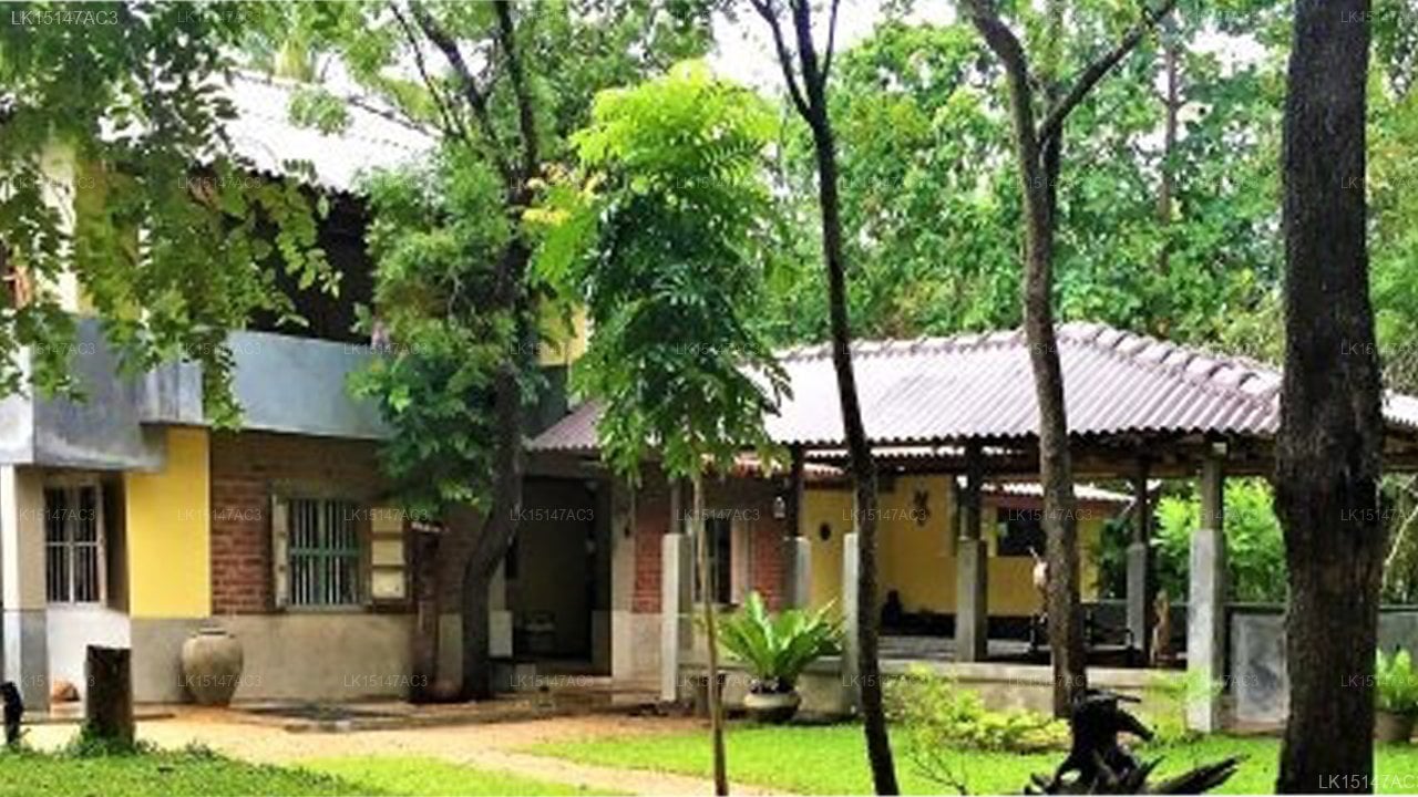 Hiddenside Of Waya Ulpatha