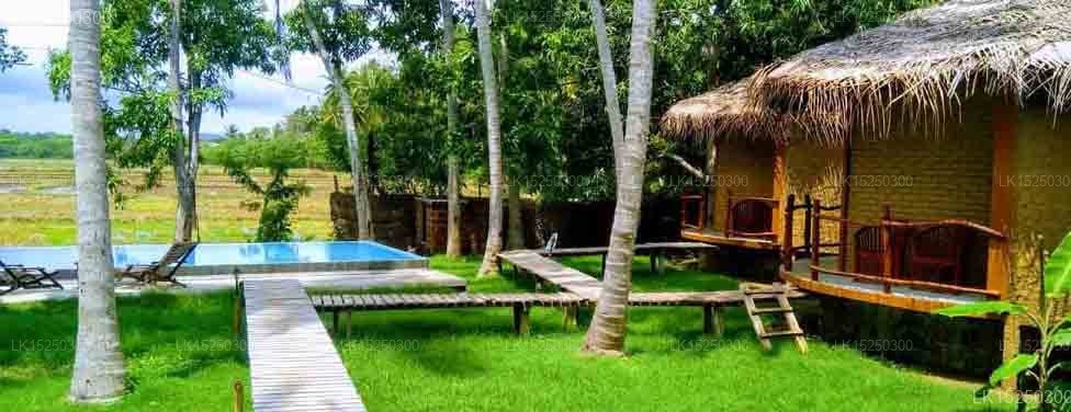 Rice Rice Villas