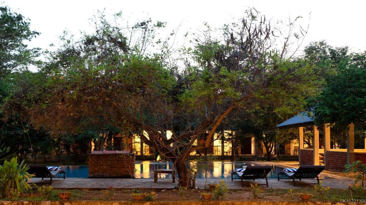 Laria Resort, Sigiriya