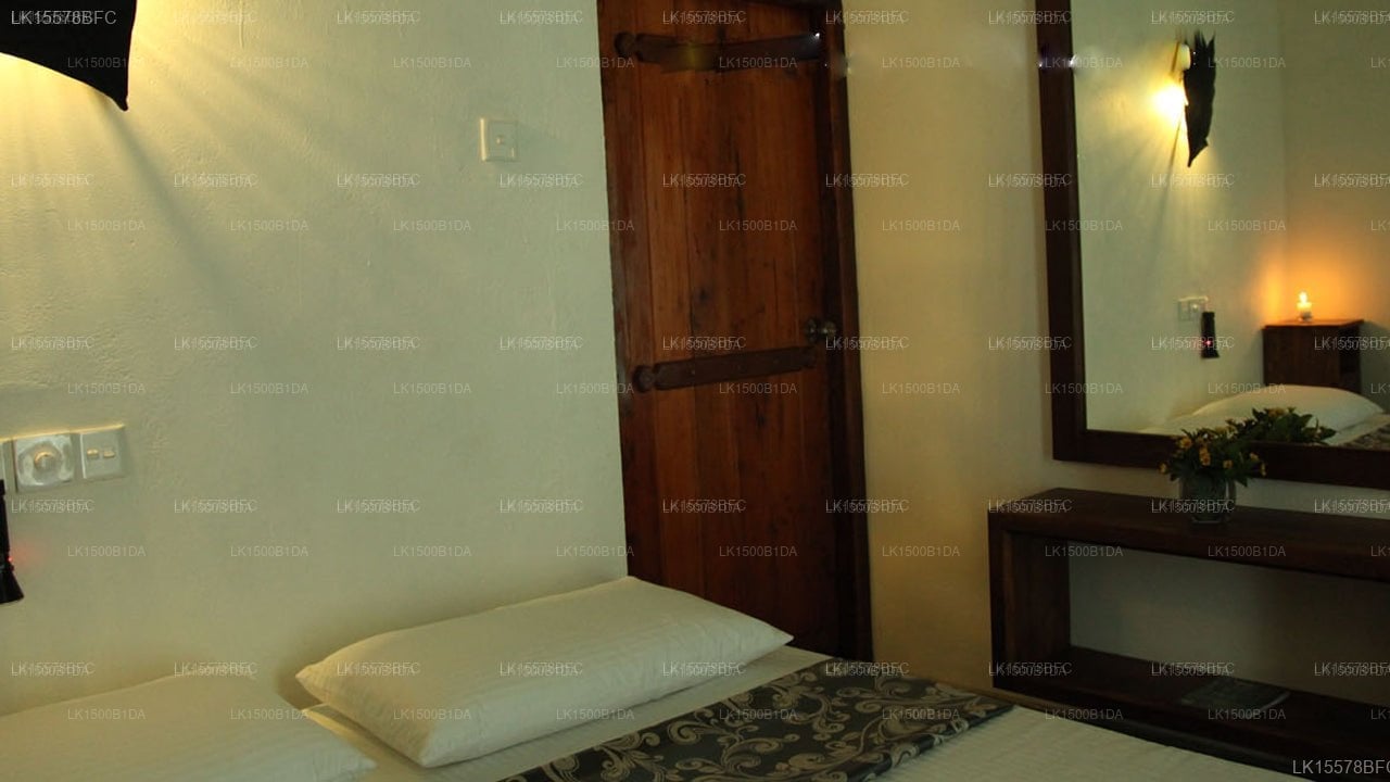 Sinharaja Forest Edge