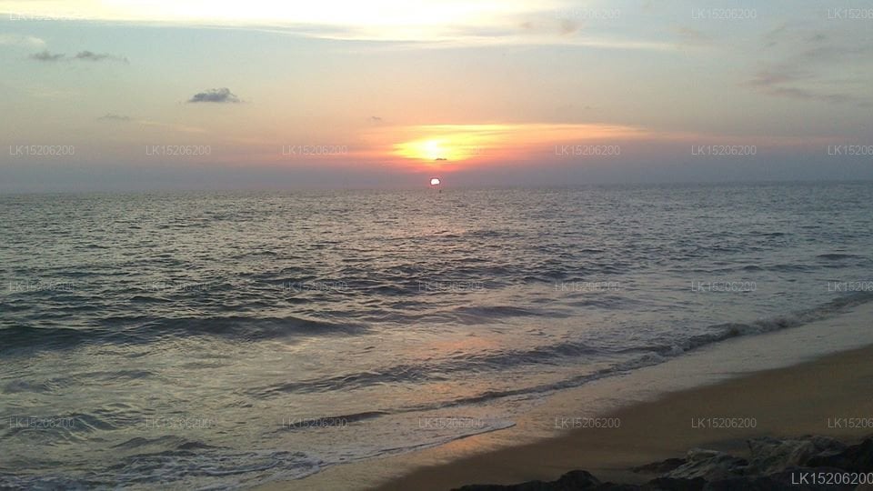 Sri Beach Bungalows & Villa
