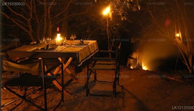 Kulu Safari - Yala