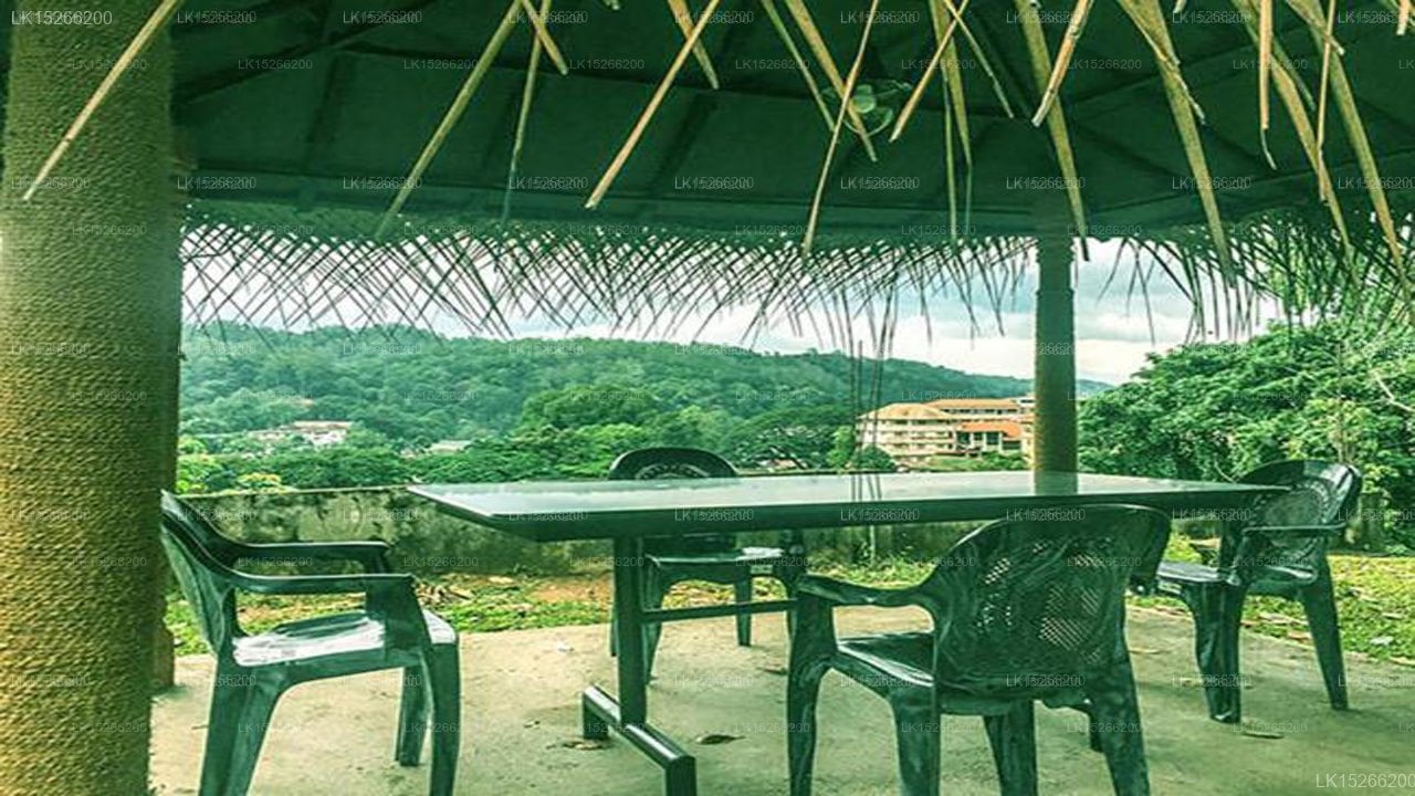 Green Grass Hostel