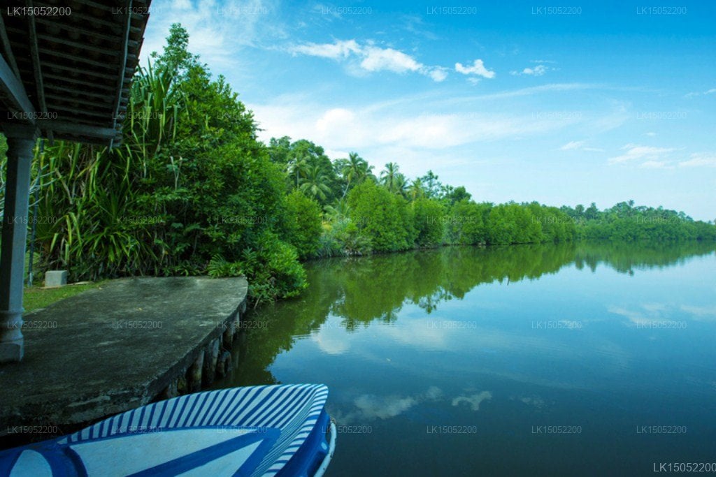 The River House