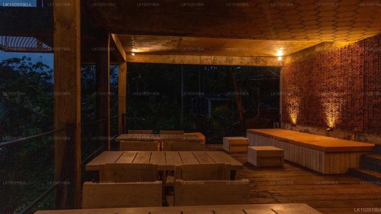 Wild Bee Hostel