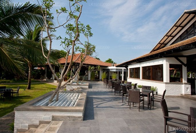 Club Hotel Dolphin