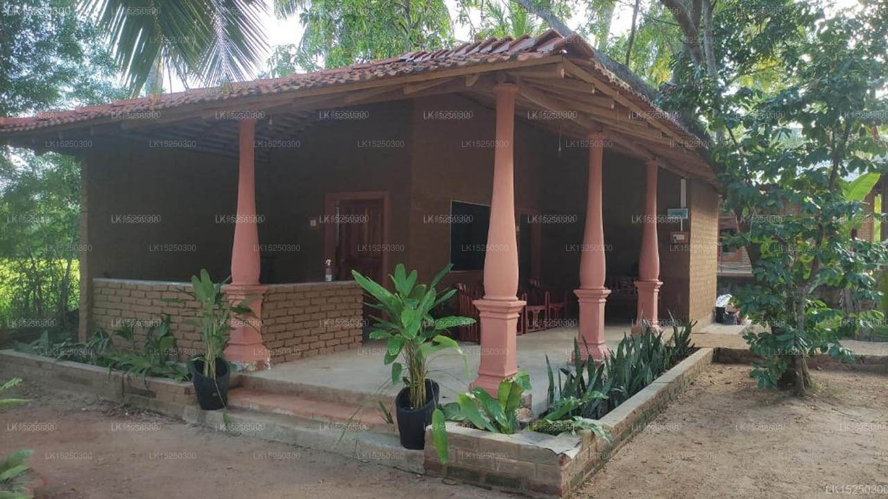 Rice Rice Villas