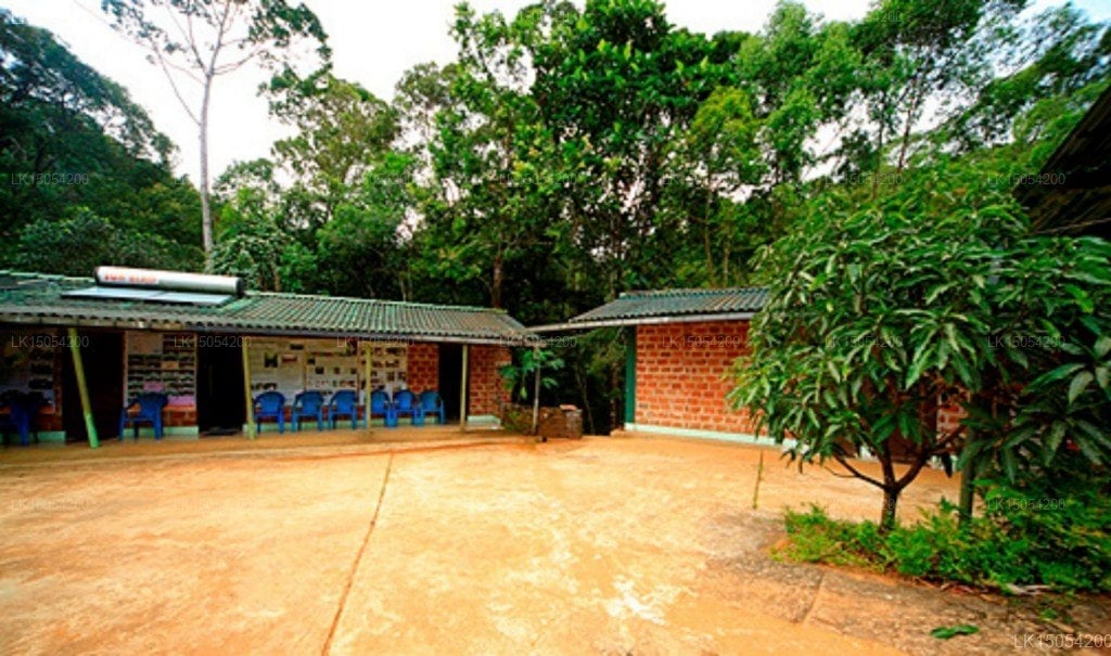 Martin's Lodge