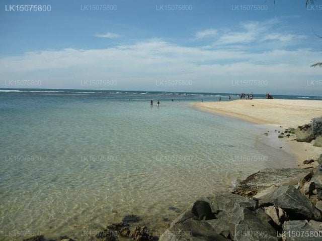 Polhena Reef Garden