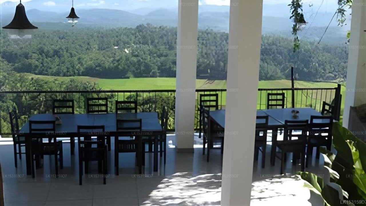 Zenith Home Stay