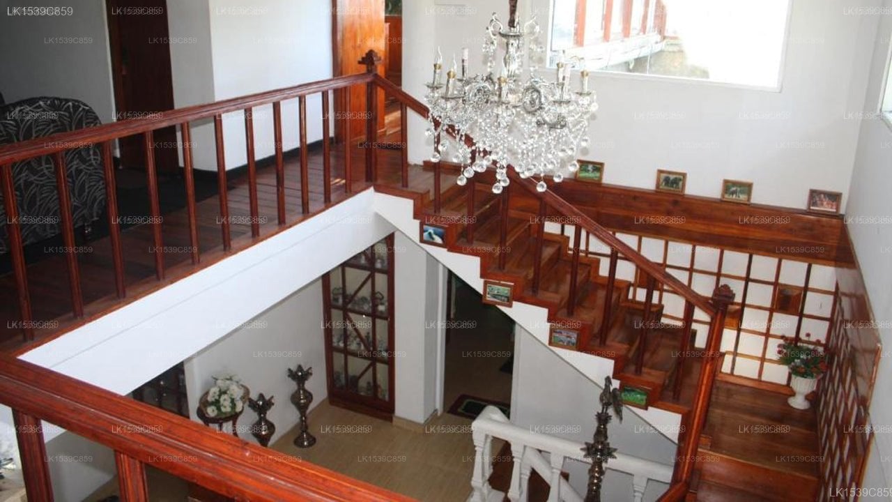 BEZEL BUNGALOW