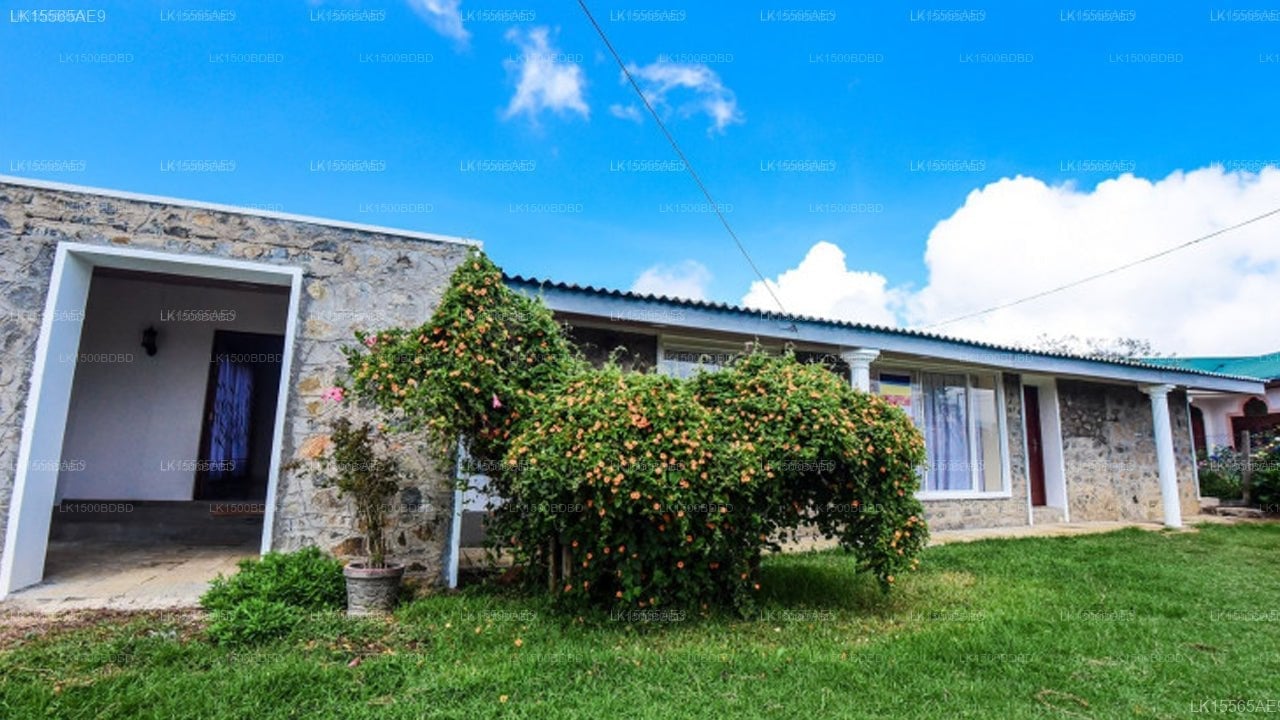 Iris Villa