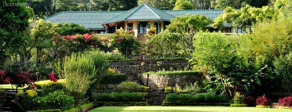 Viharagala Estate Bungalow