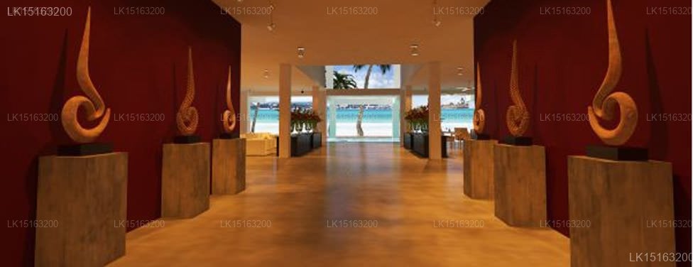 Coco Bay