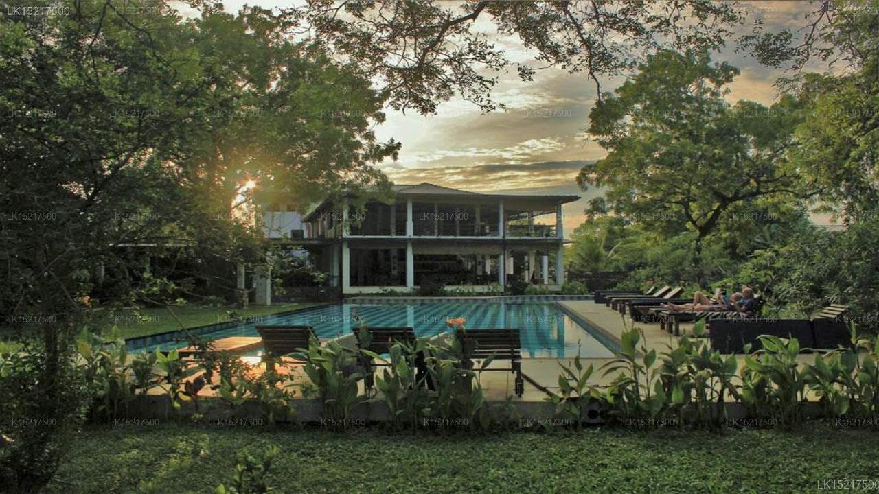 Blue Turtle Hotel
