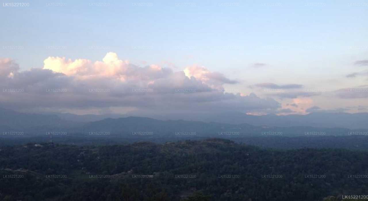 Green Hills Kandy