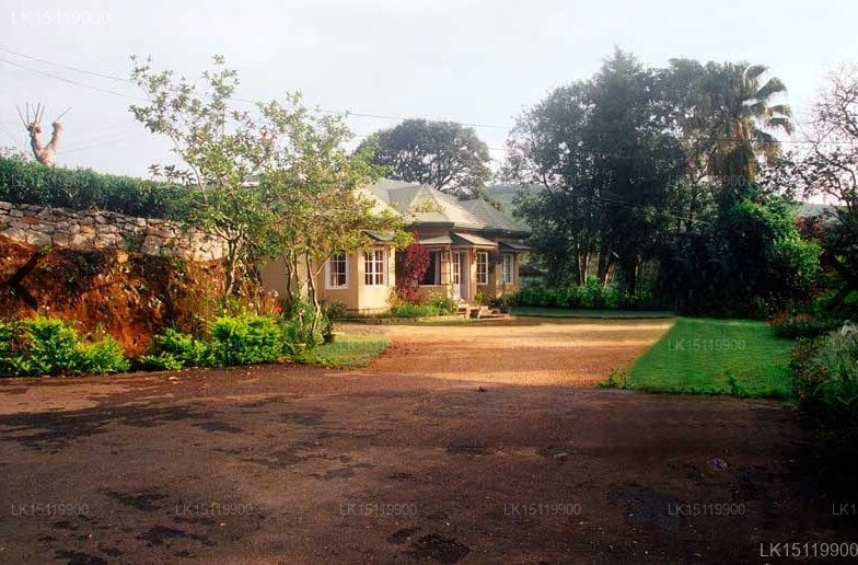 Iona Bungalow