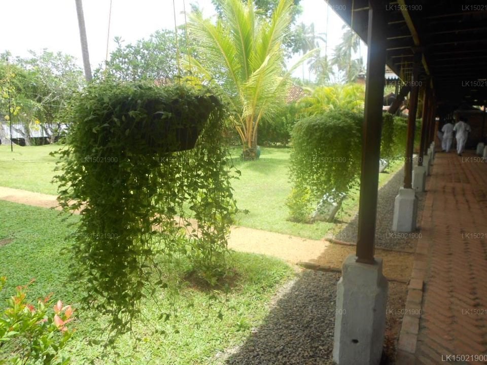 Club Bentota
