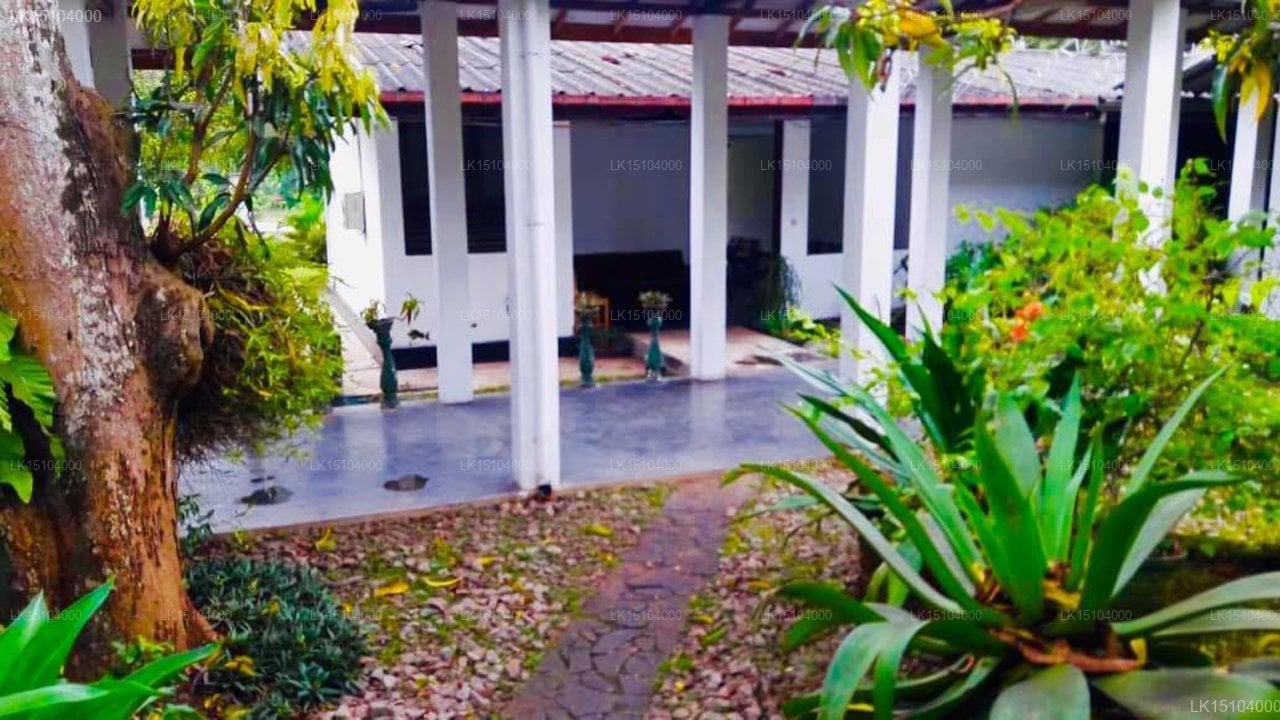 Himawwa Holiday Resort