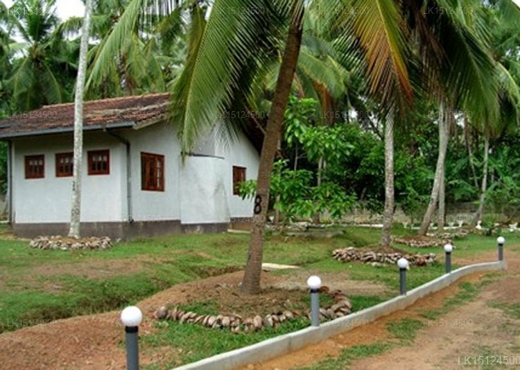 Auriel Ayurveda