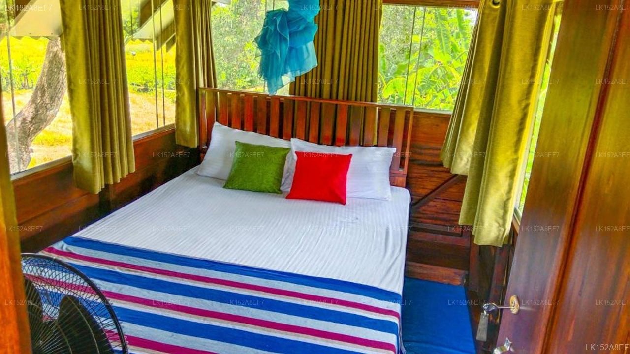 Pride Rock Villa & Tree House