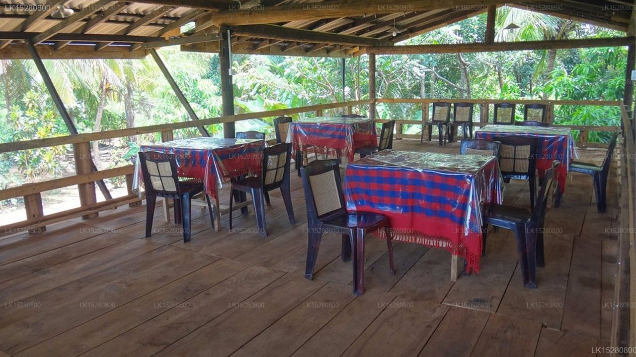 Sarilco Rock View Treehouse