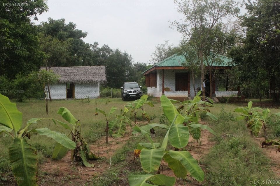 Wellassa Resort