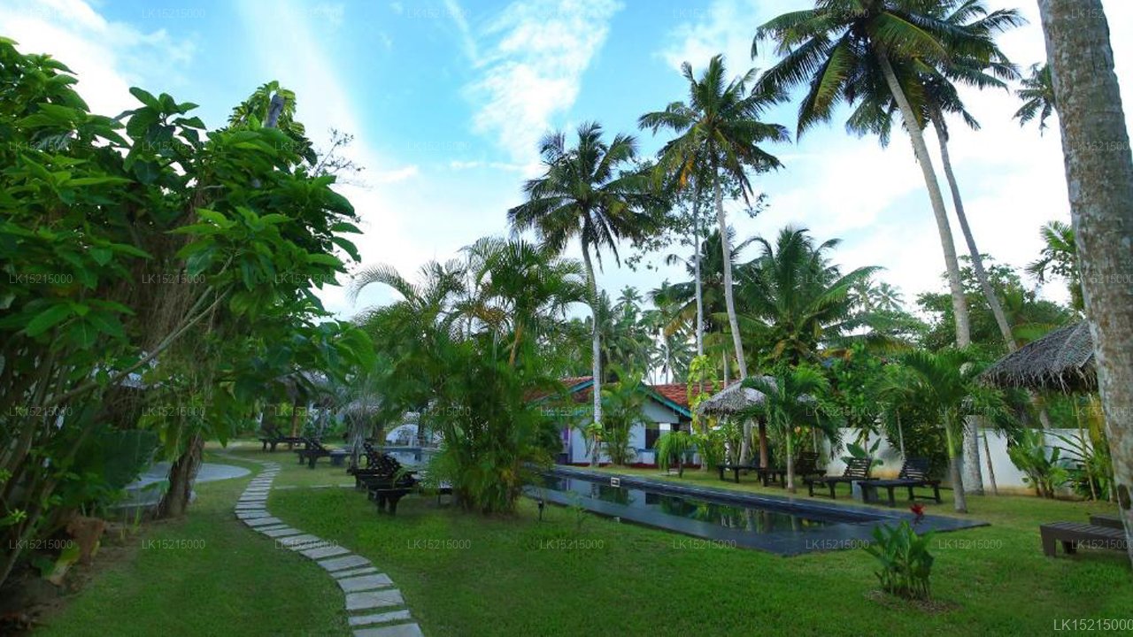Turtle Eco Beach
