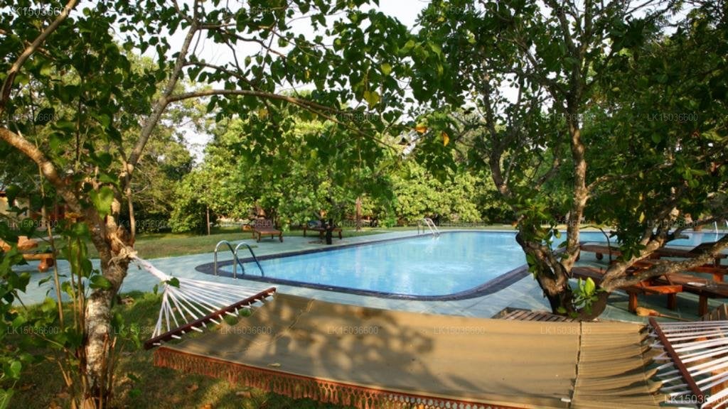 Hotel Elephant Reach