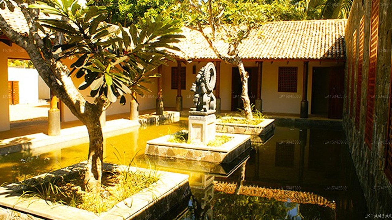 Auraliya