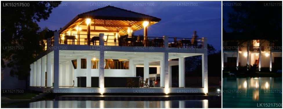 Blue Turtle Hotel
