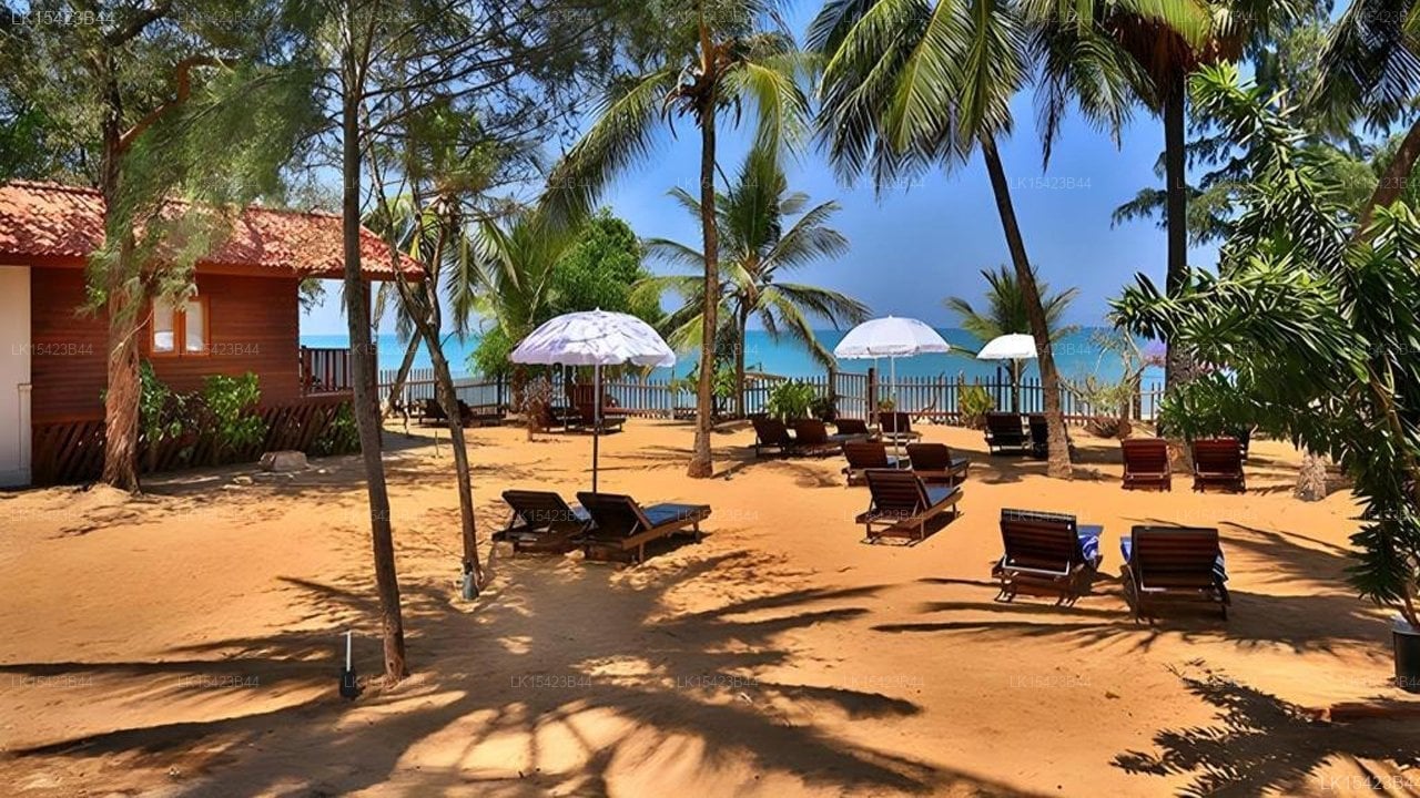 ArugamBay PodBay