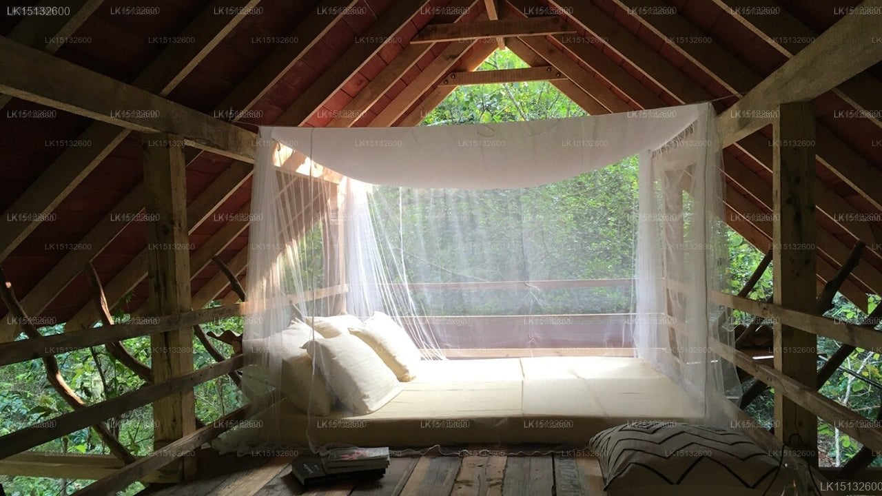 Galkadawala Forest Lodge