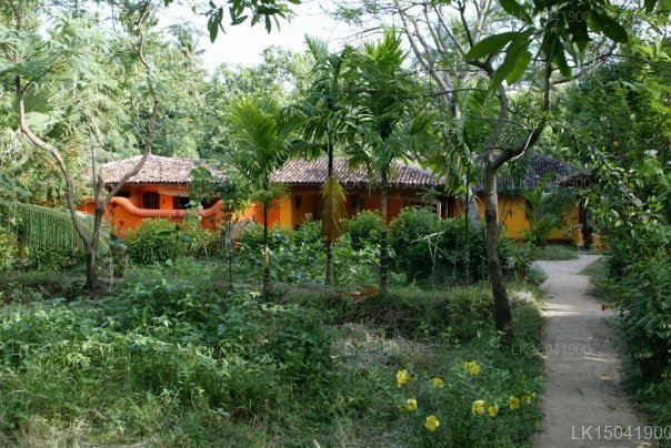 Ulpotha Yoga & Ayurveda Retreat