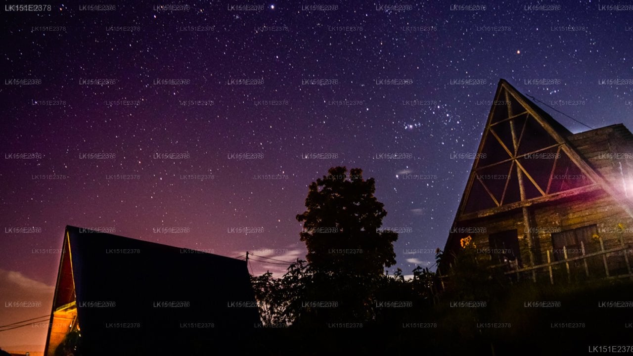 Hideout Cabins