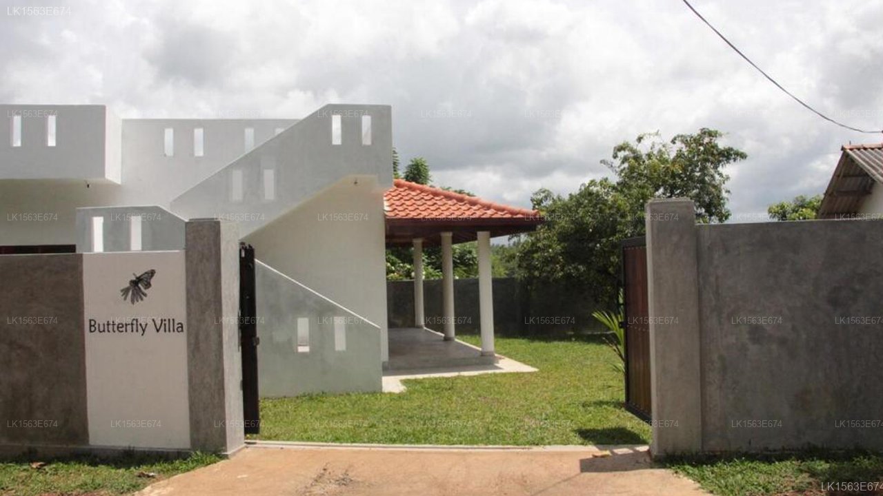 Butterfly villa